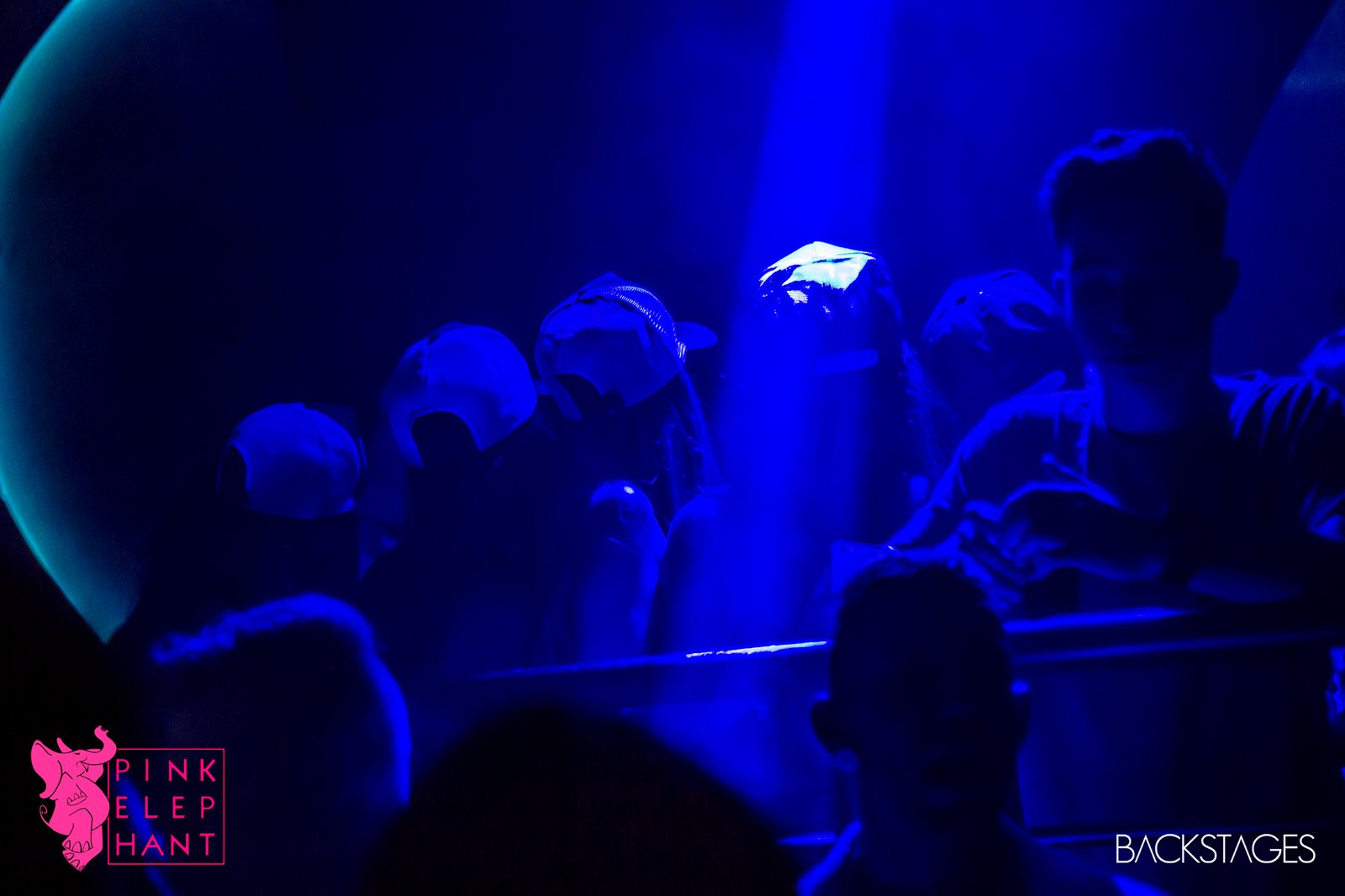 Pink-elephant-2017-kenzi-marinho-04-02-2017-sorocaba-sp (31)