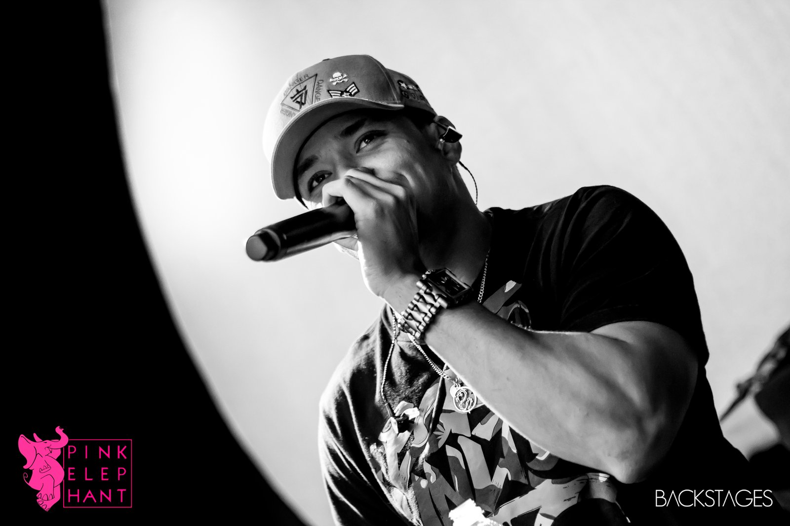 Pink-elephant-2017-kenzi-marinho-04-02-2017-sorocaba-sp (49)