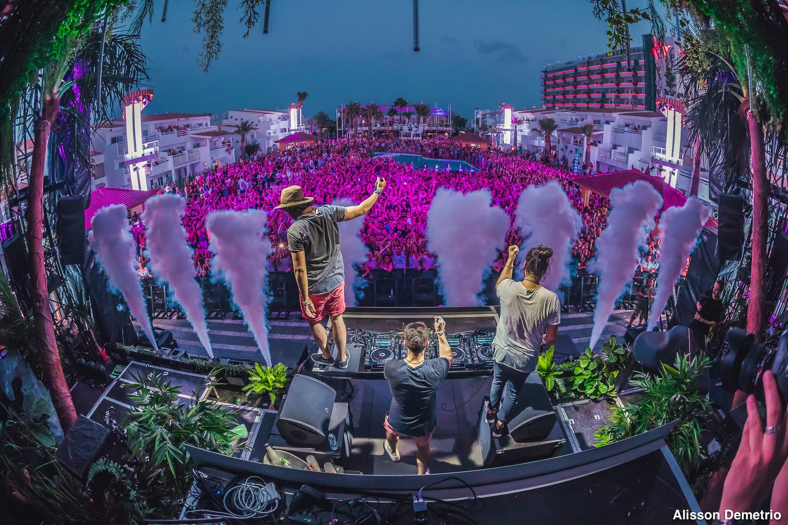 © Alisson Demetrio | 2017